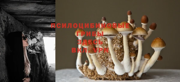 прущий лед Балахна