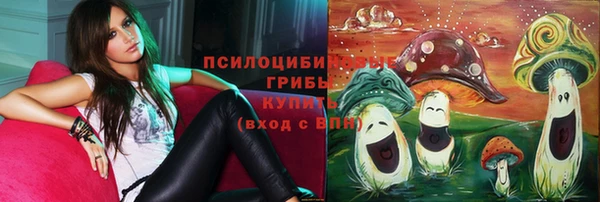марки nbome Белокуриха