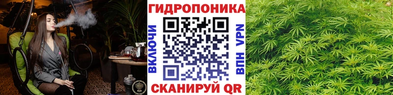 Конопля тримм  Ессентуки 